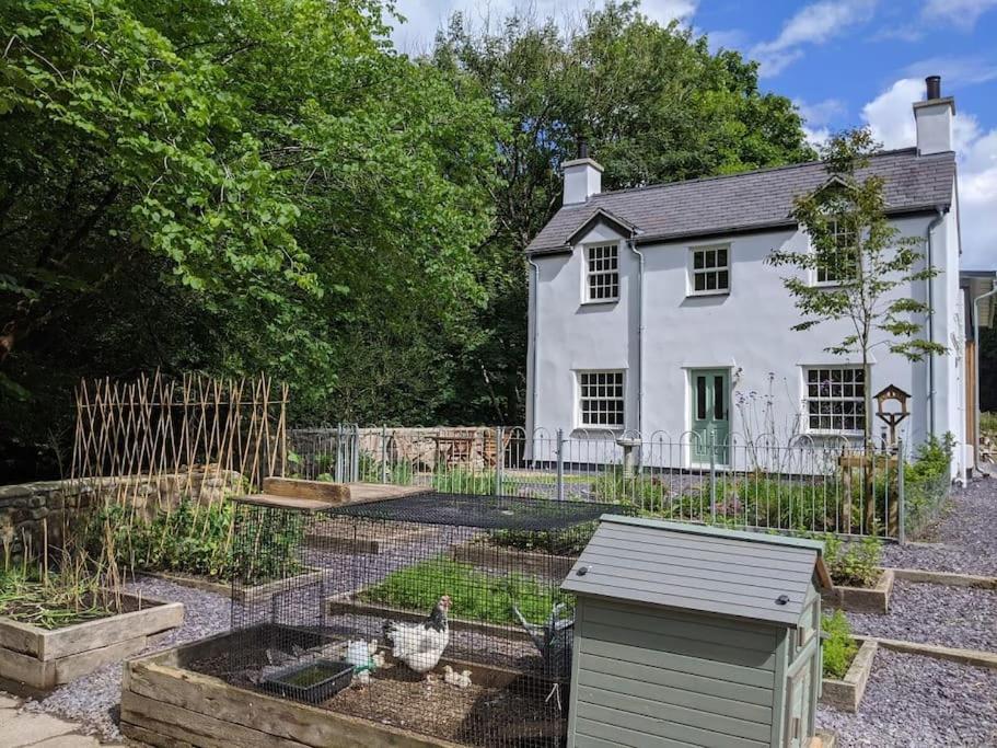 Riverside Cottage Walking Distance Into Caernarfon Exterior photo